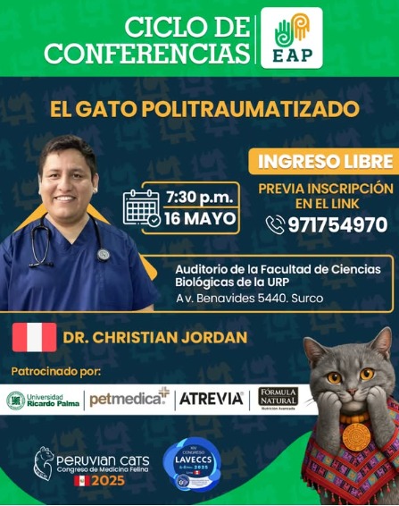 El gato politraumatizado