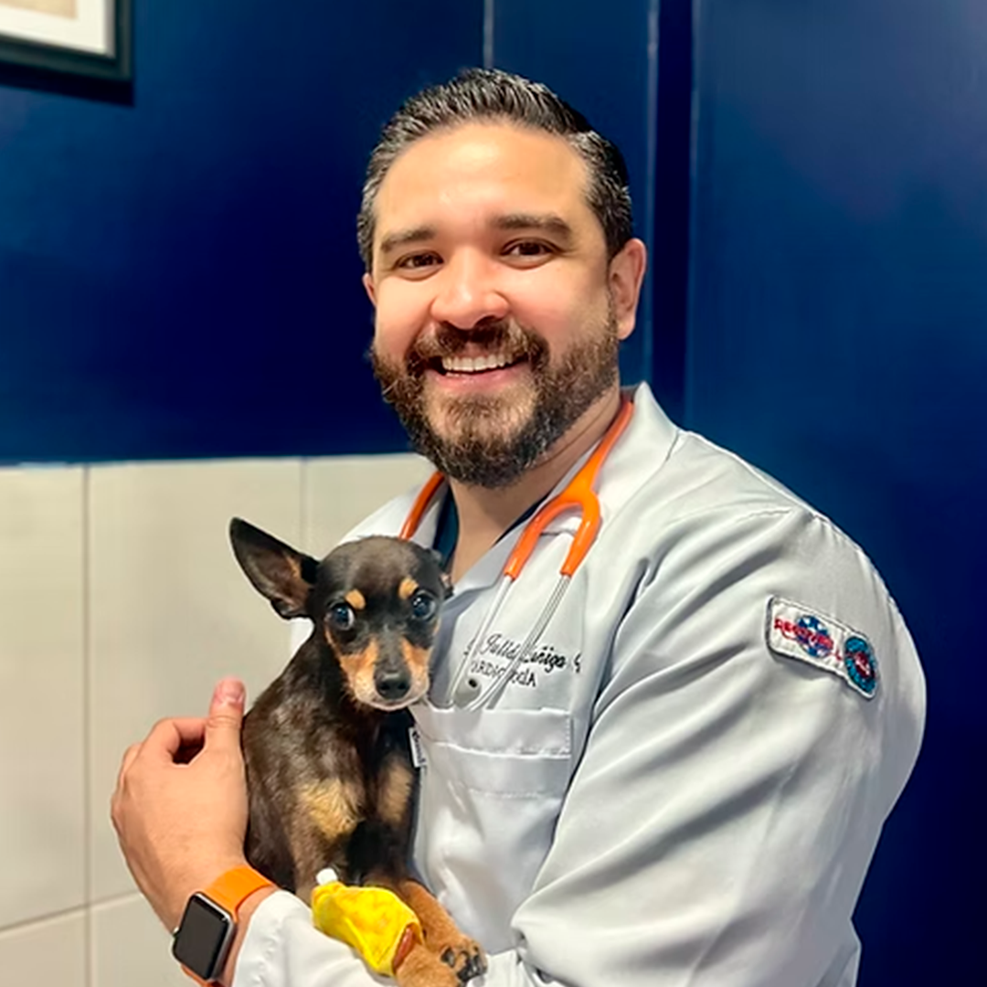 José Julian Zuñiga