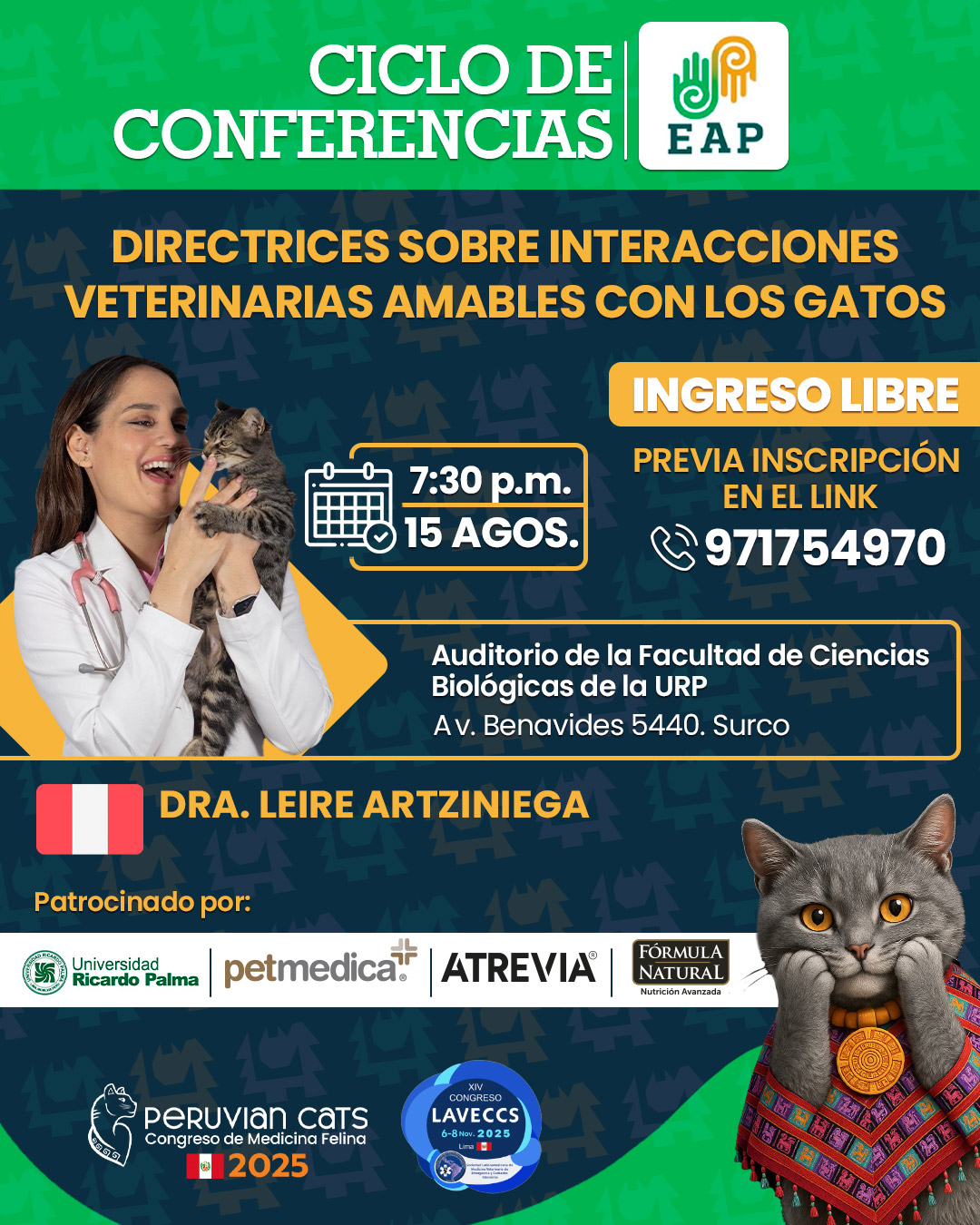 Directrices sobre interacciones veterinarias amables con los gatos