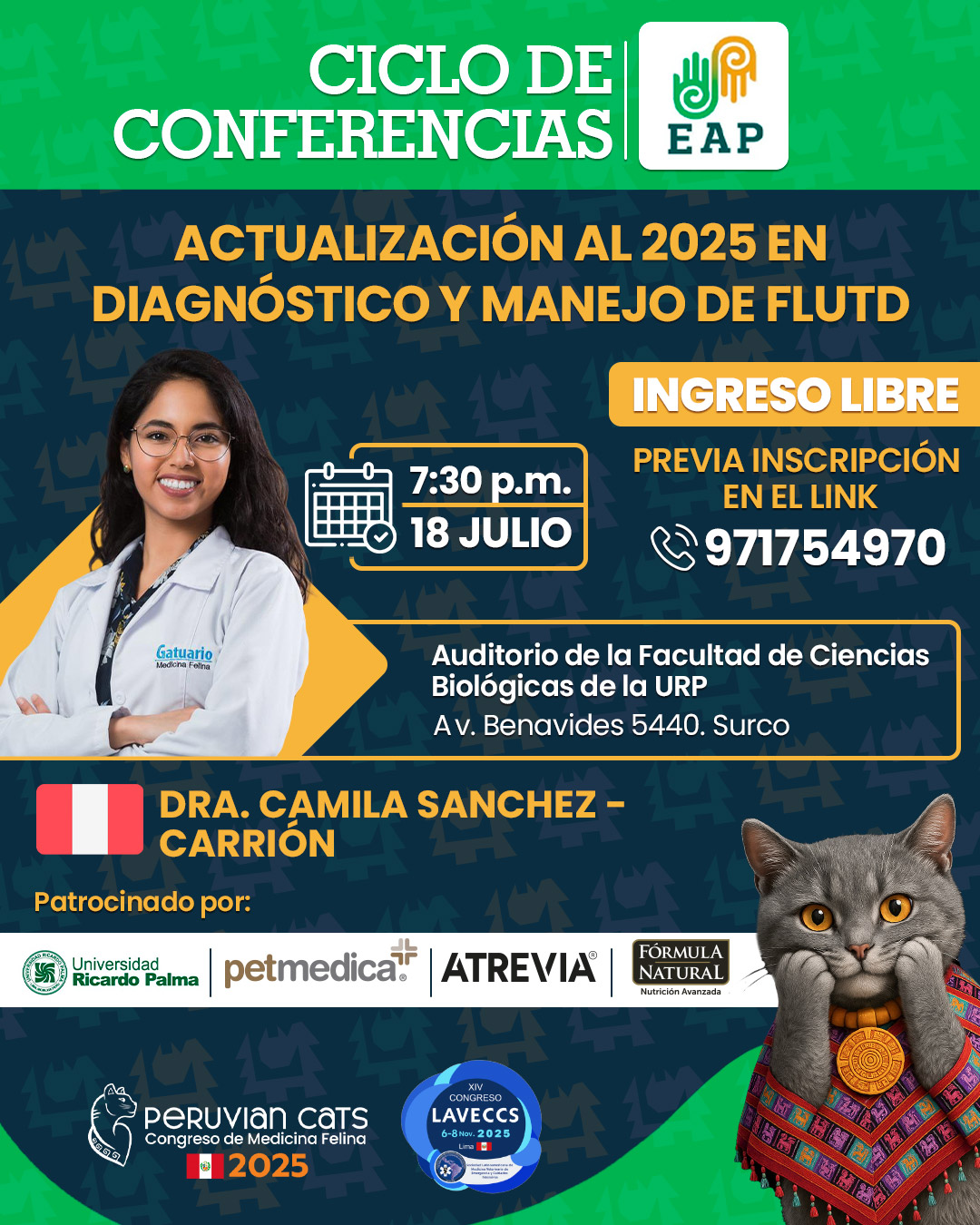 Actualización al 2025 en diagnóstico y manejo de flutd